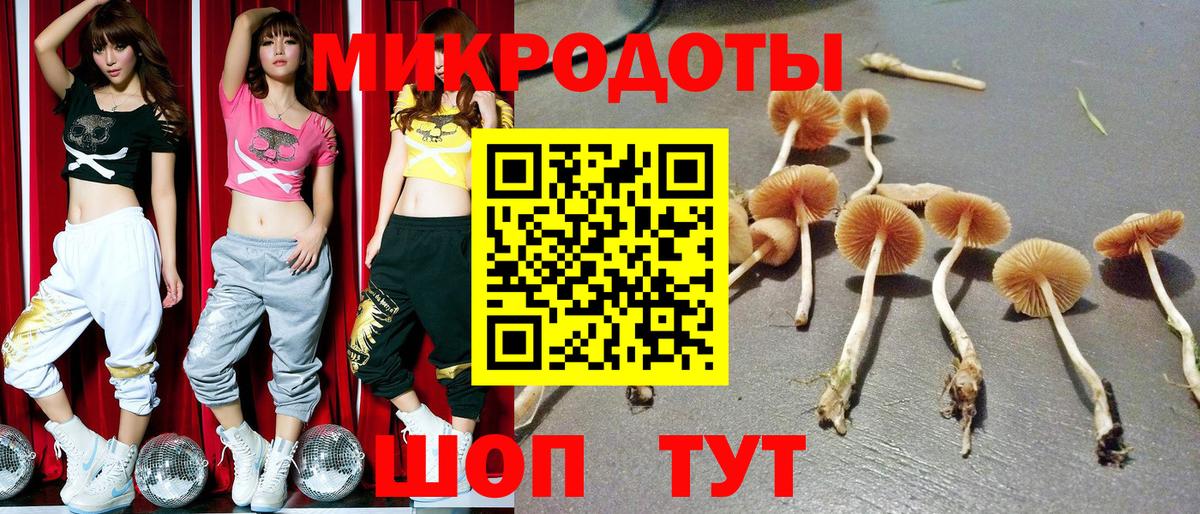 Галлюциногенные грибы прущие грибы  Псилоцибиновые грибы MAGIC MUSHROOMS  Вход с VPN  Похвистнево 