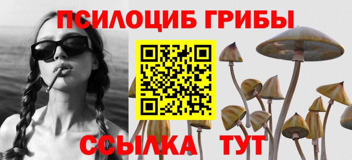 Галлюциногенные грибы прущие грибы Похвистнево